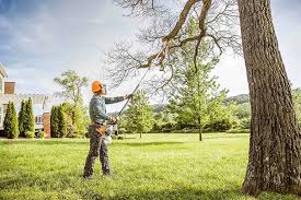 Best Lawn Seeding  in Brighton, TN