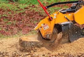 Best Emergency Tree Removal  in Brighton, TN