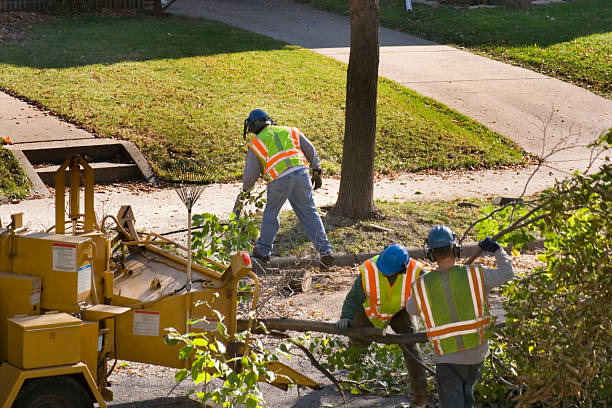 Best Arborist Consultation Services  in Brighton, TN
